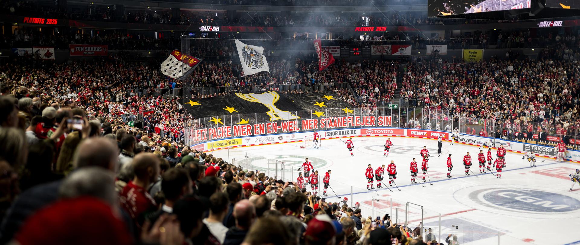 Mehr über den Artikel erfahren Pinktober bei den Kölner Haien – Setzt mit uns ein starkes Zeichen!